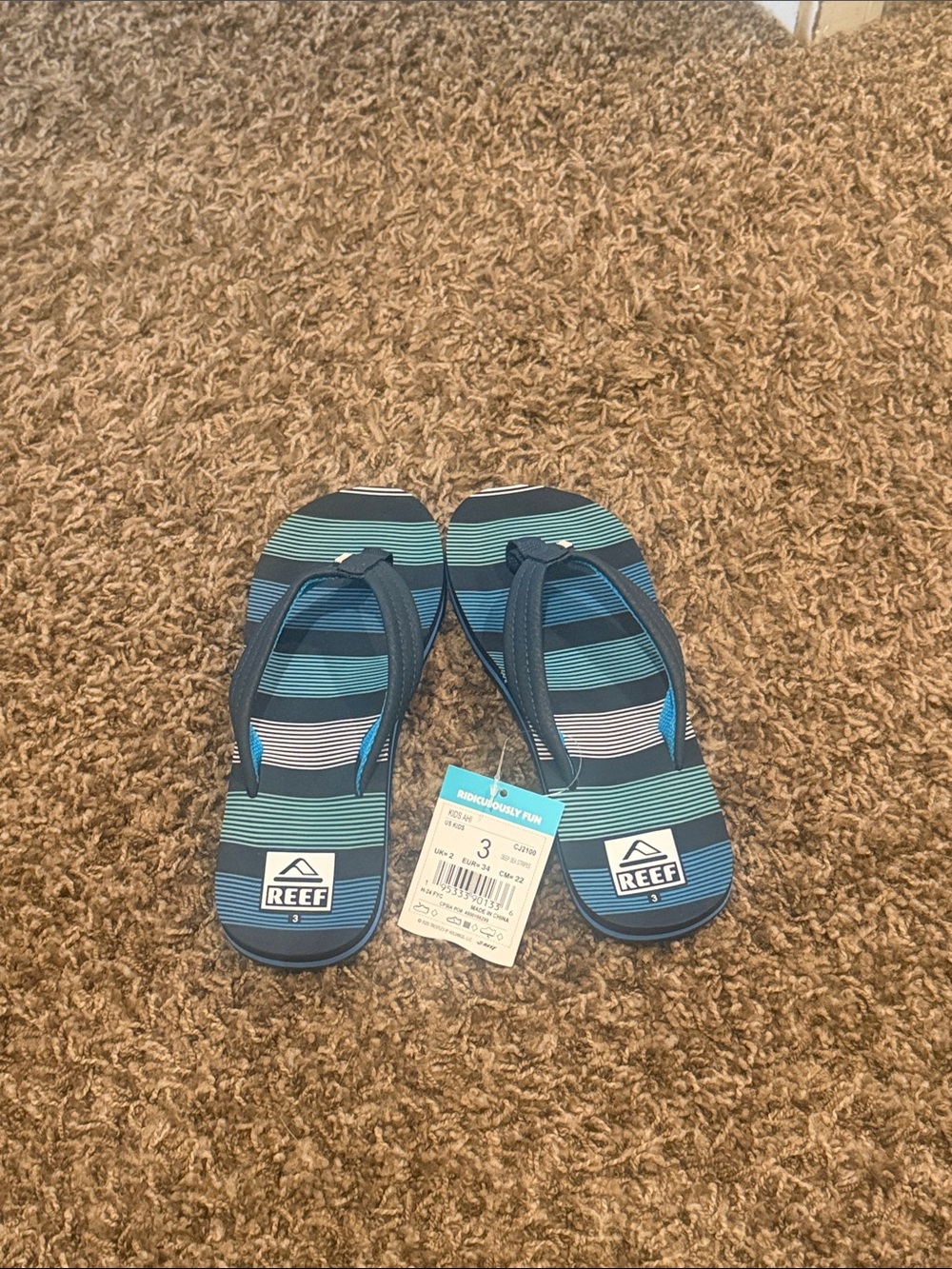 Reef Navy, Teal & Light Blue Striped Flip Flops